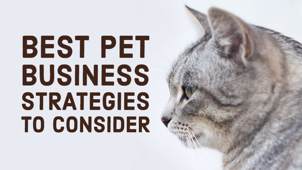 pet business pet business